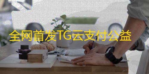 mc我的世界正版下载全网首发TG云支付公益版php源码